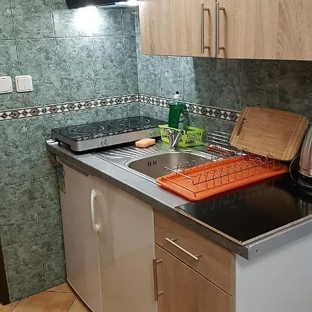 Apartament Silesia
